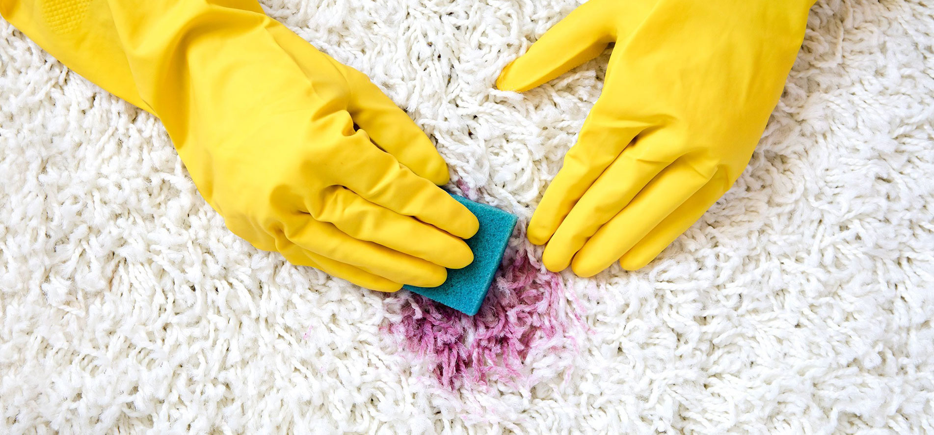 Best Carpet Restoration Services in Central Florida Brilliant Color